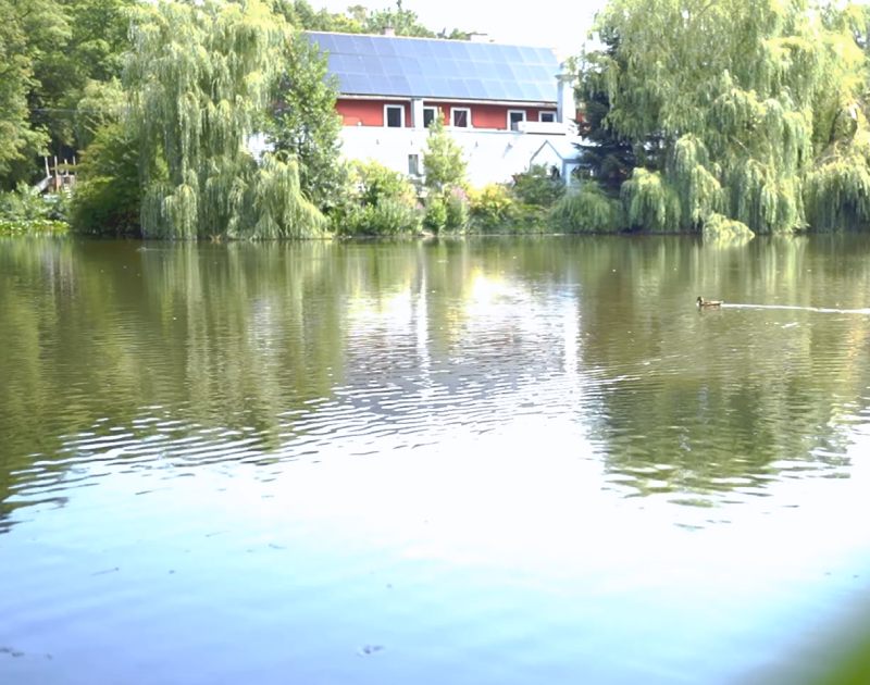 Freizeit & Naherholung - der Valznerweiher